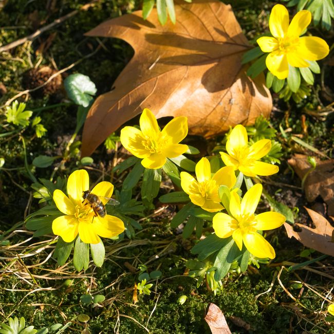 April