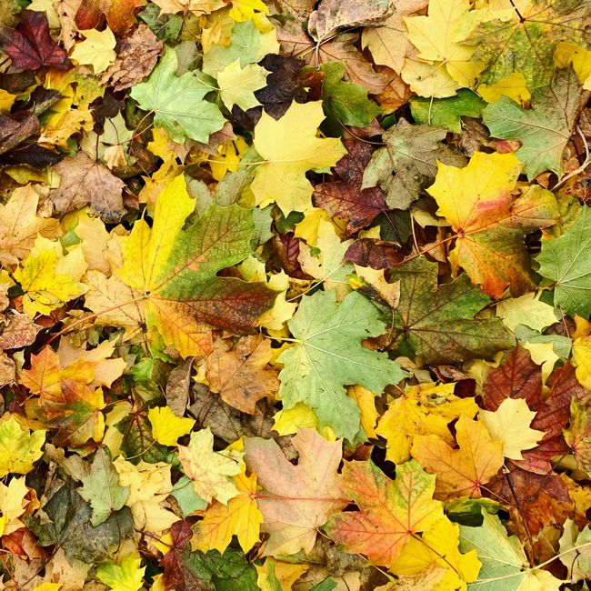 October