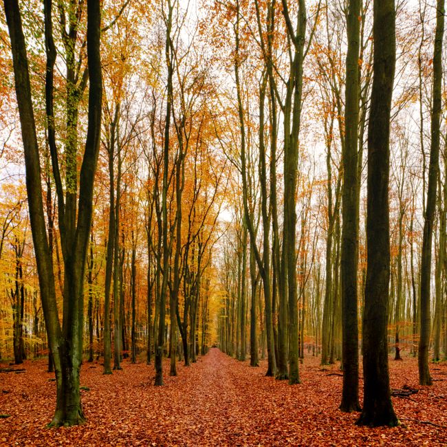 November