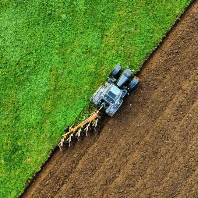 farmer