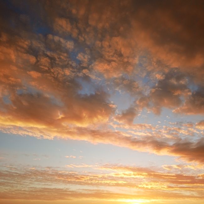 evening