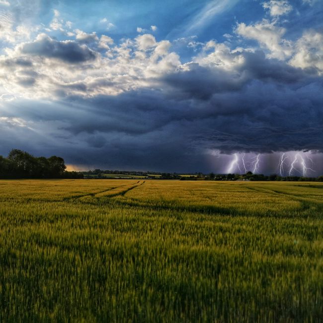 weather
