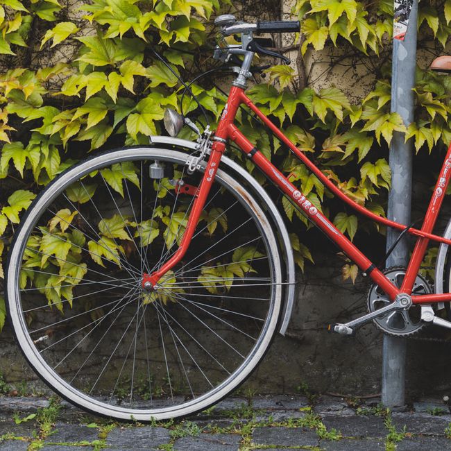 bike