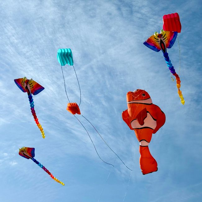 kite