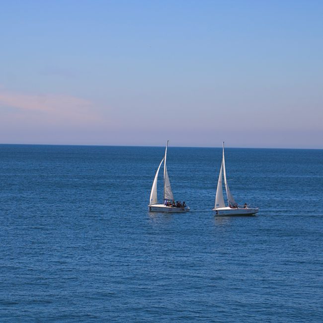 sail