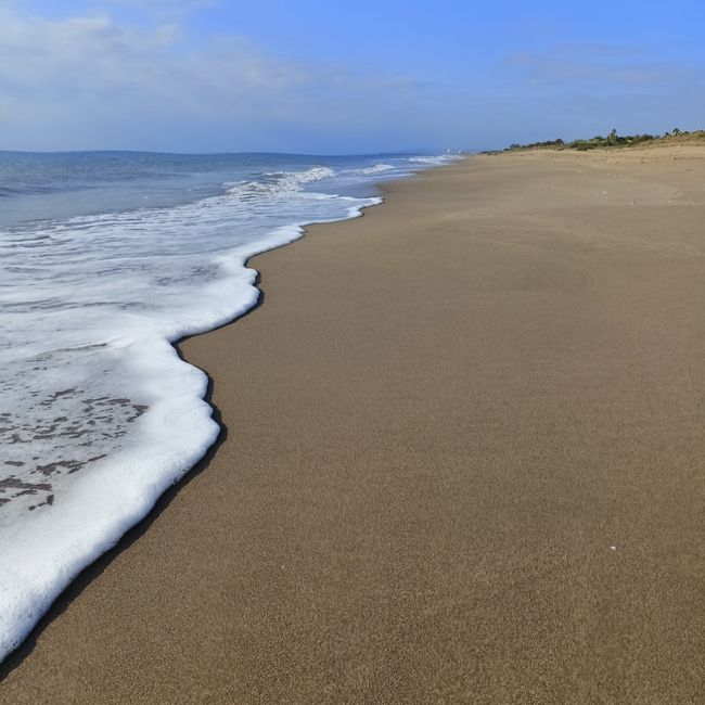 sand