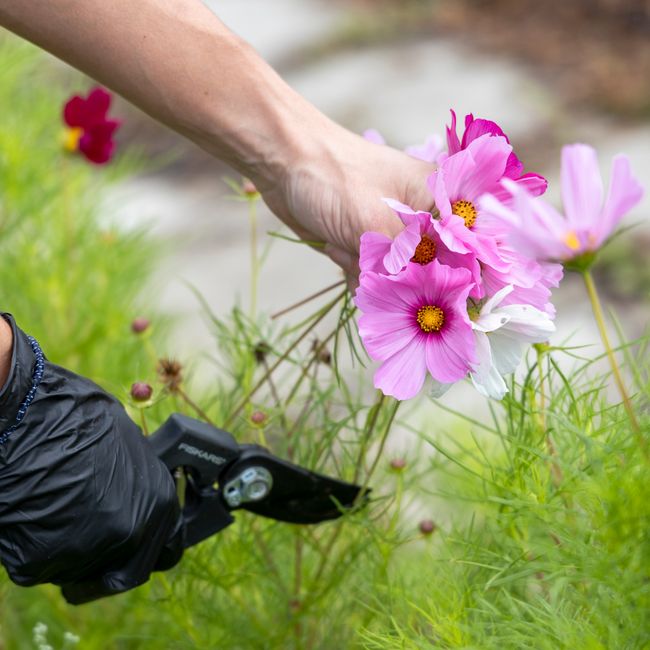 Gardening