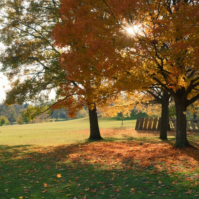 Autumn