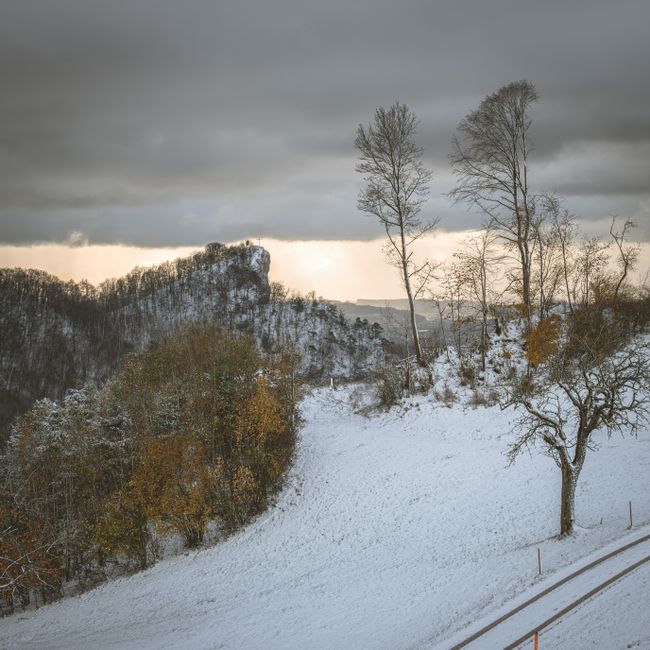 Winter