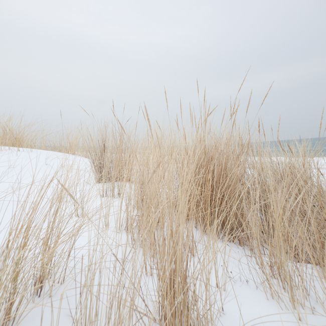 January