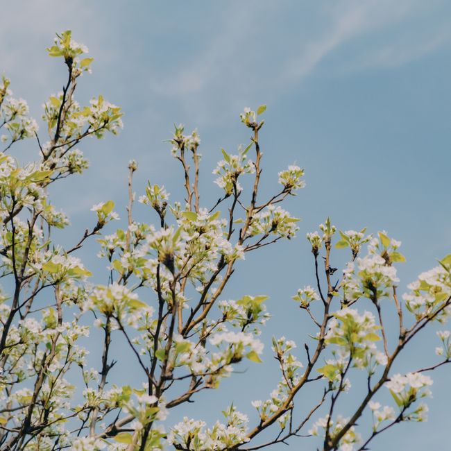 April