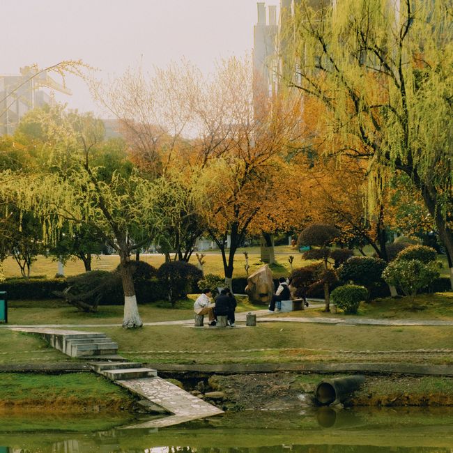 Park