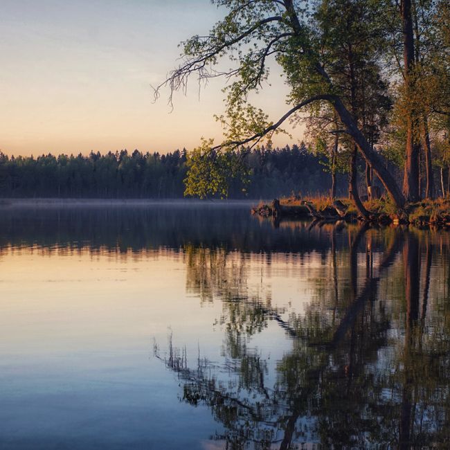 Lake