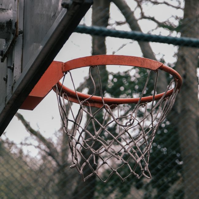 Basketball