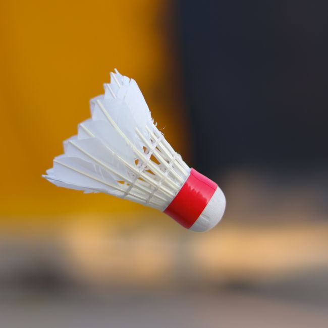 Badminton
