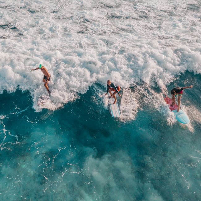 Surfing