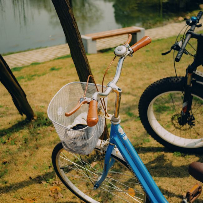 Bicycle